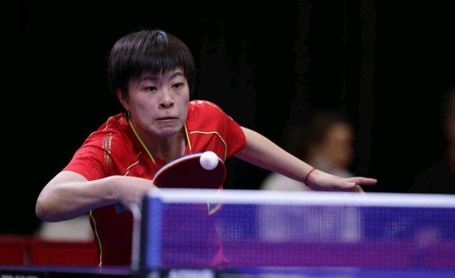 雄狮队的未 雄狮队的未