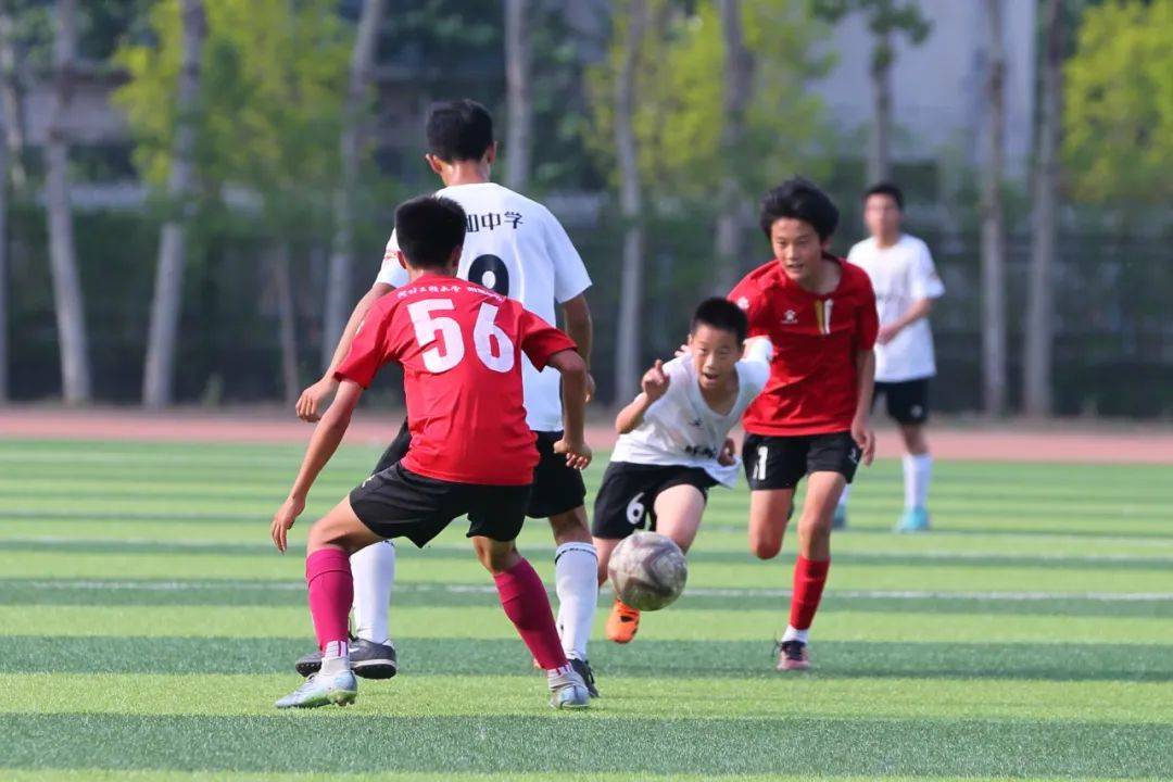 止步于八强